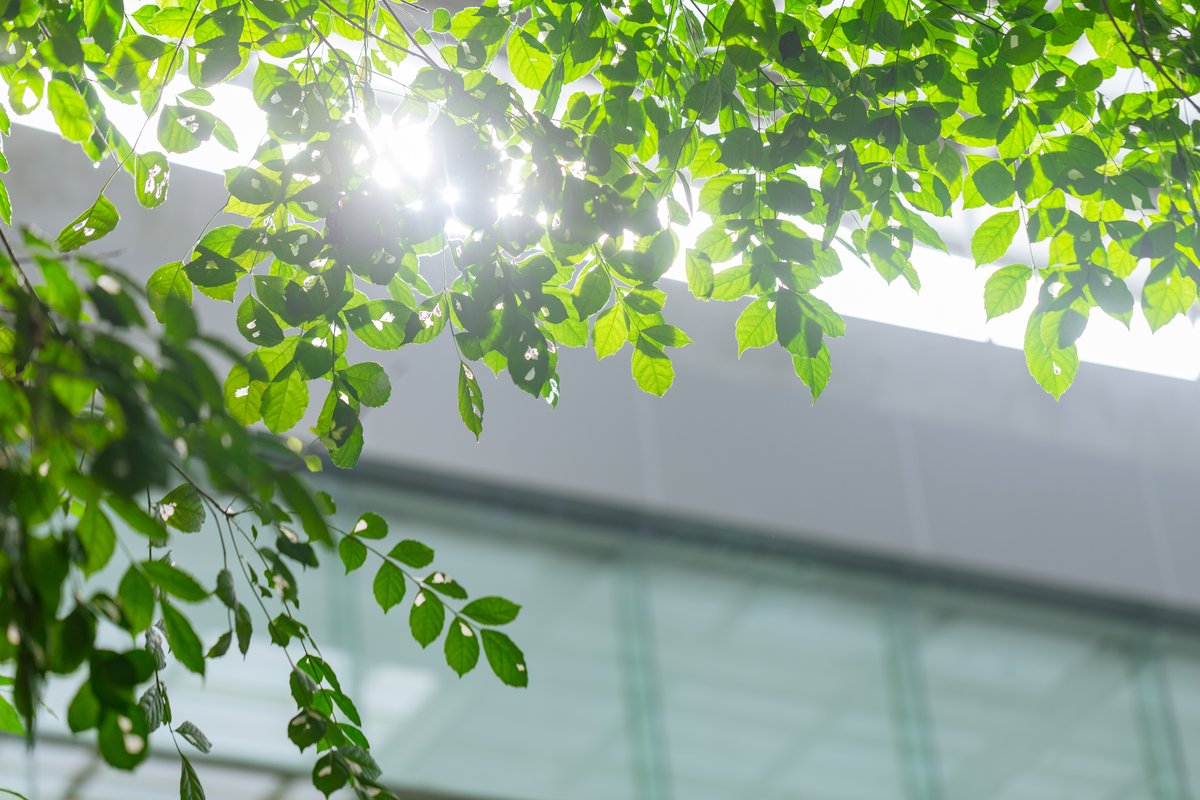 Our Facility Banner Background Image